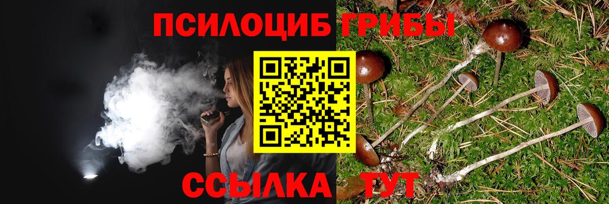 Псилоцибиновые грибы прущие грибы Кашира